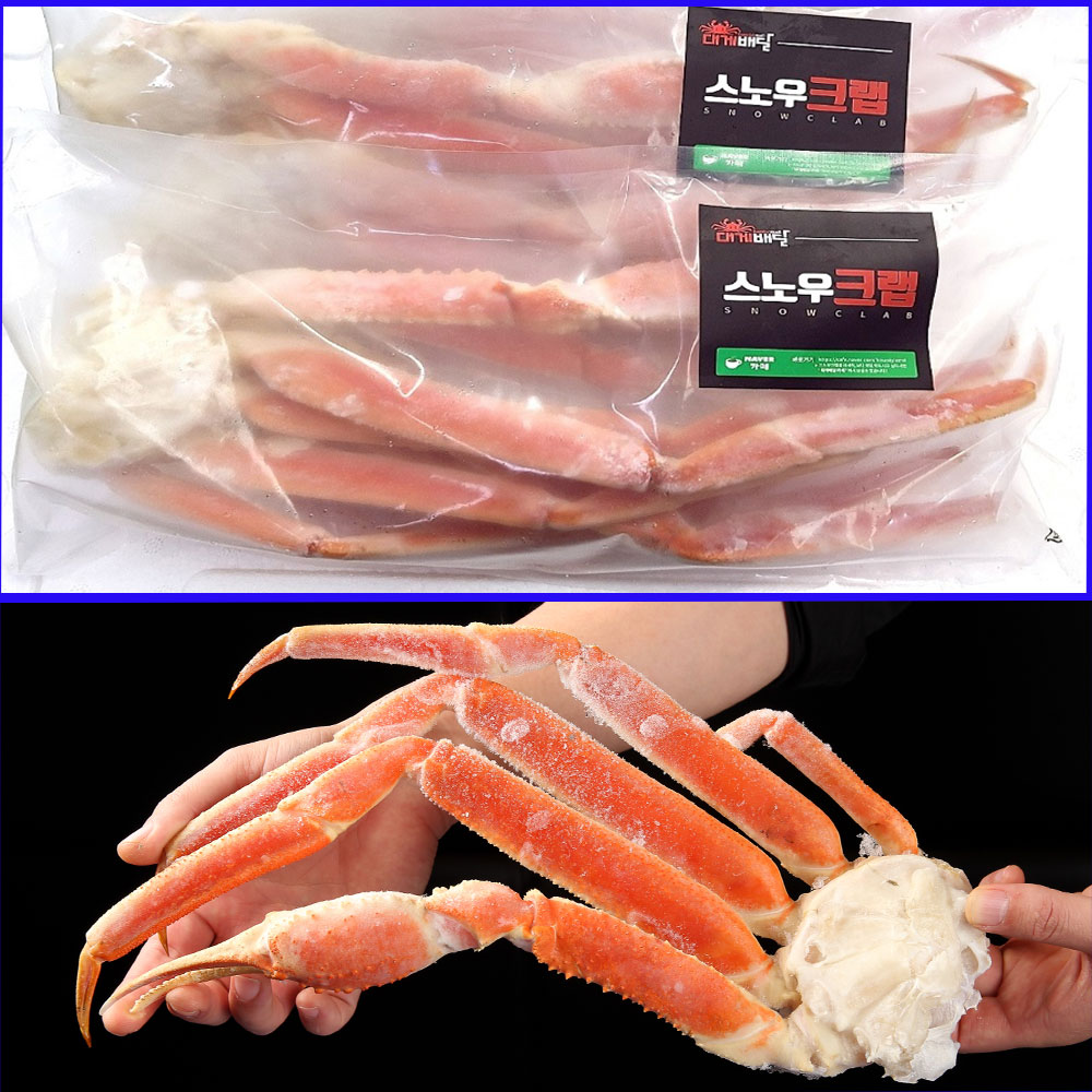 대게배달 스노우크랩 1.6KG 2.5KG 러시아 대게 마가단 냉동 자숙 박달 섹션 다리