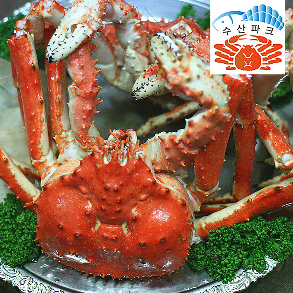 킹크랩 활 자숙 러시아 선어킹크랩 1kg 시세 싯가 집들이음식