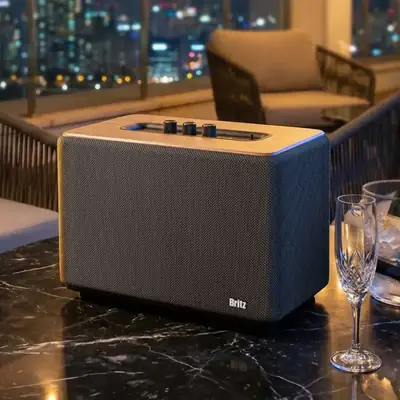 ๋ธ๋ฆฌ์ธ BZ-CM500