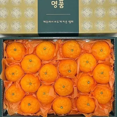 제주도 카라향 귤로향 선물세트 3kg 5kg 10kg