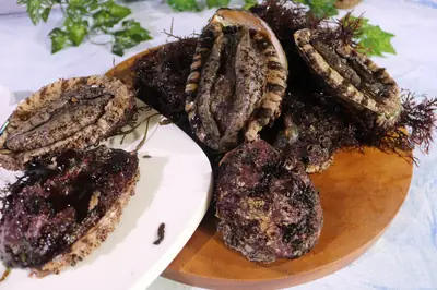 전복 활전복 해녀가 채취한 자연산 전복 대/특대/특특대 1kg