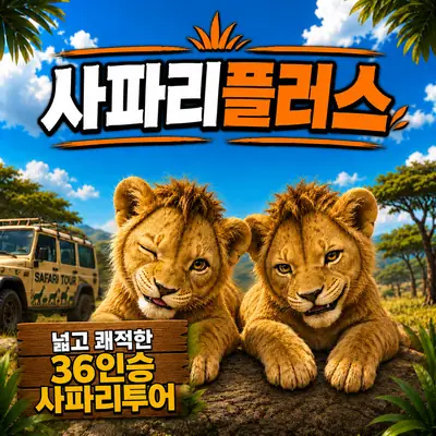 일본 크루즈여행 후쿠오카 2박3일 부산 출발 알뜰여행